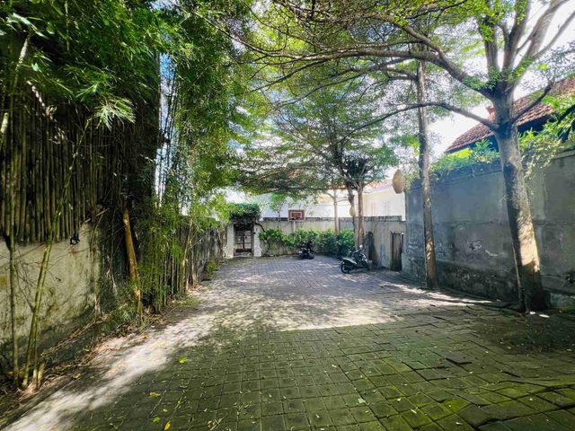 place photo 46