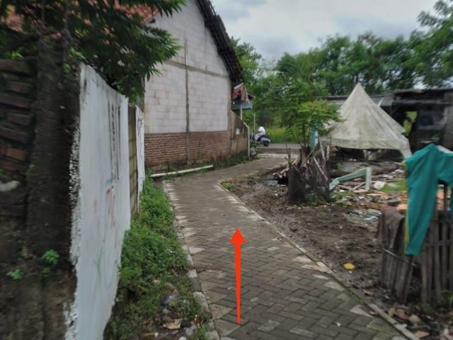 place photo 16