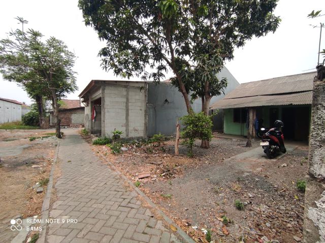 place photo 4