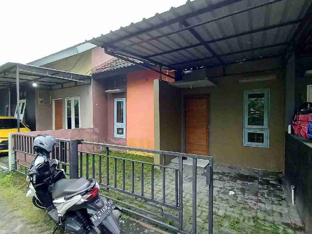 Kontrakan rumah minimalis di maguwoharjo boleh bawa peliharaan