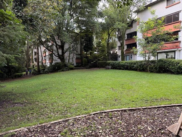 place photo 61