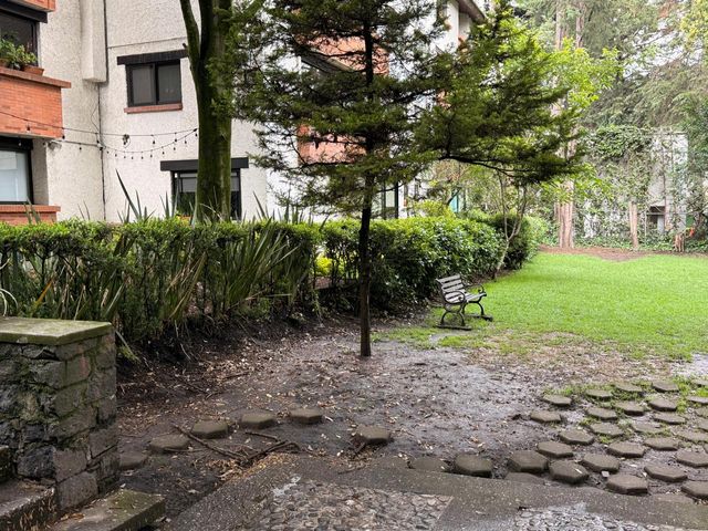 place photo 62