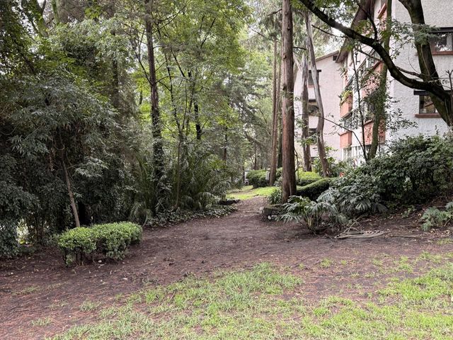 place photo 63