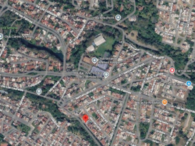 place photo 6
