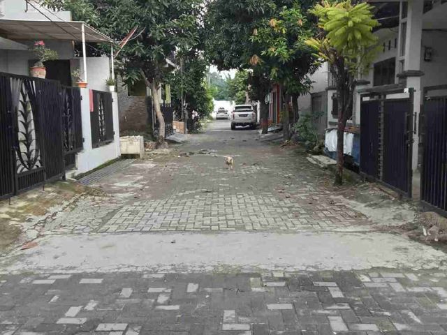 place photo 4