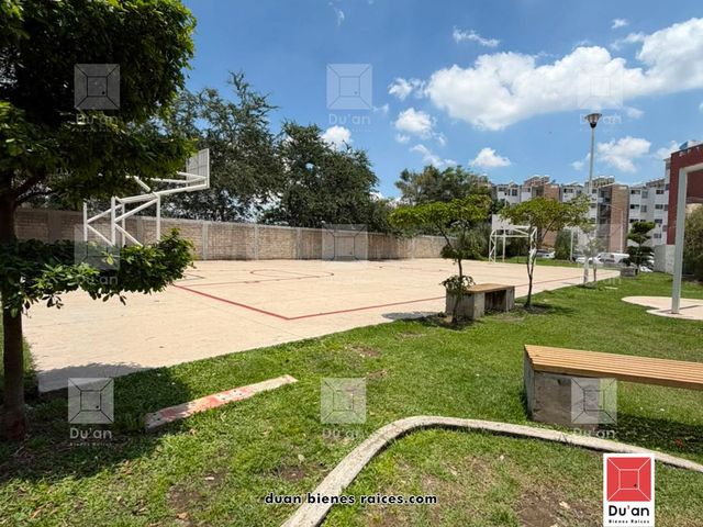 place photo 29