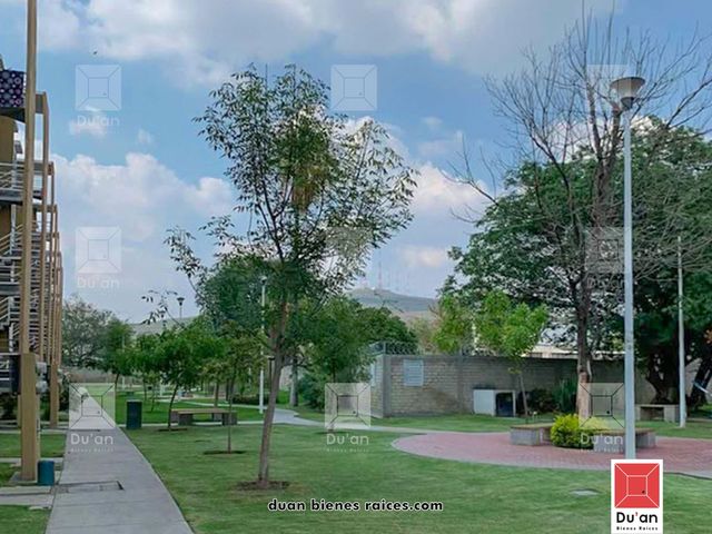 place photo 35
