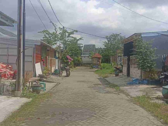 place photo 2