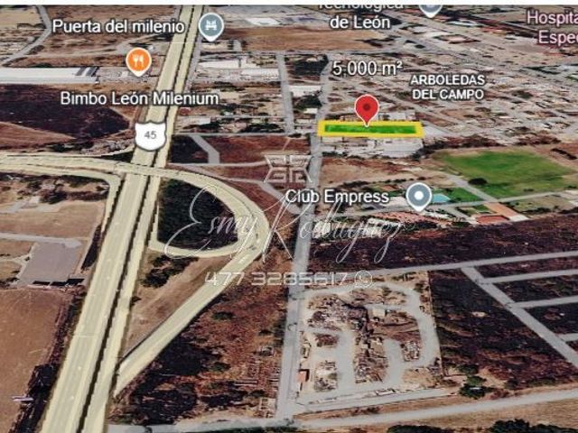 place photo 4
