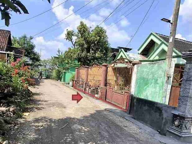 place photo 3