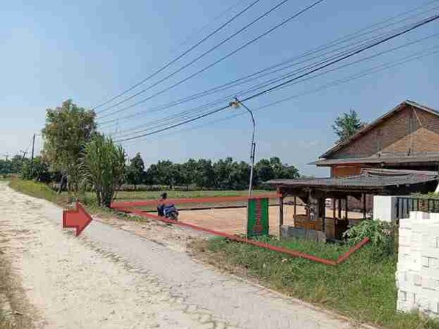 place photo 3