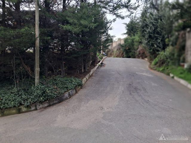 place photo 40