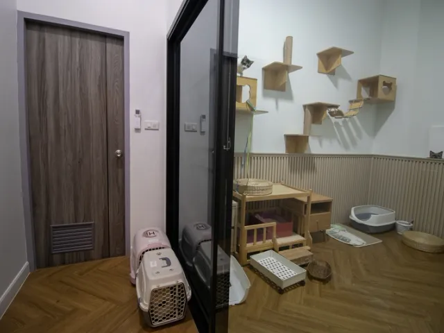 place photo 89