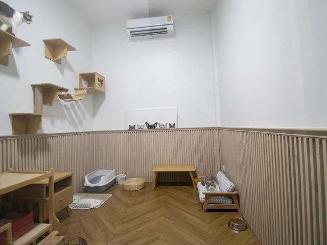 place photo 90