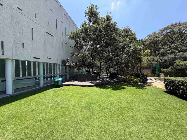 place photo 44