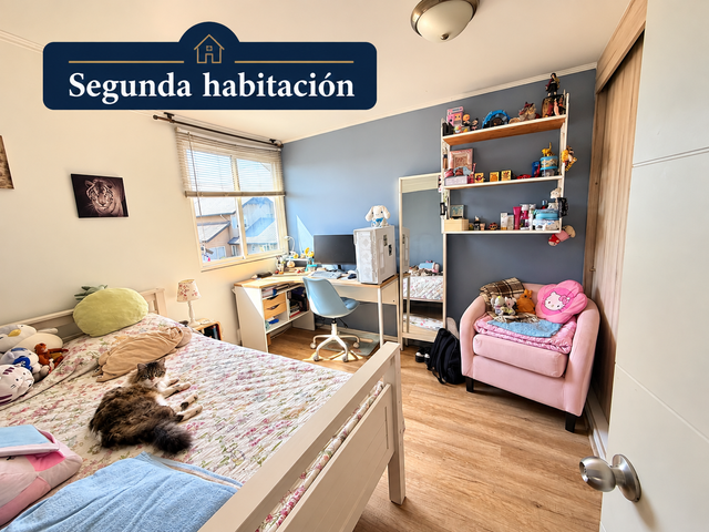 place photo 43