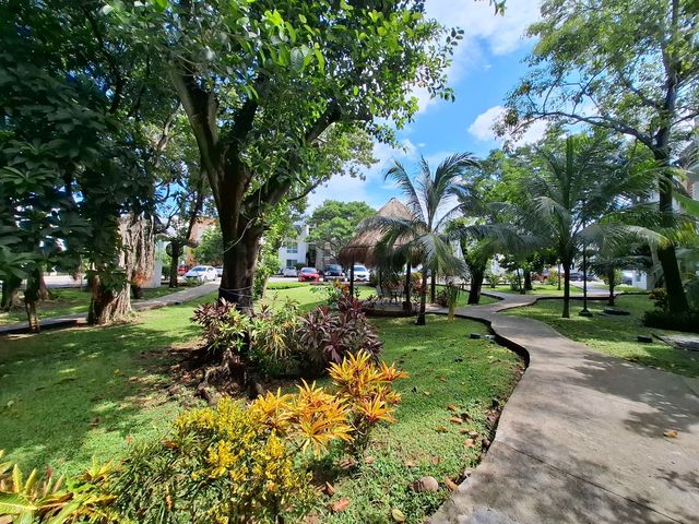 place photo 19