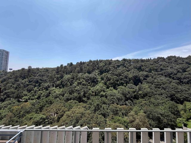 place photo 47