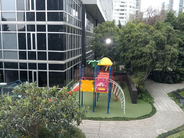 place photo 26