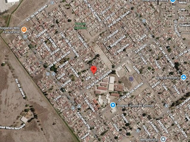 place photo 5