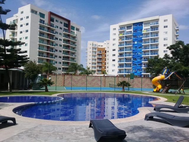 place photo 17