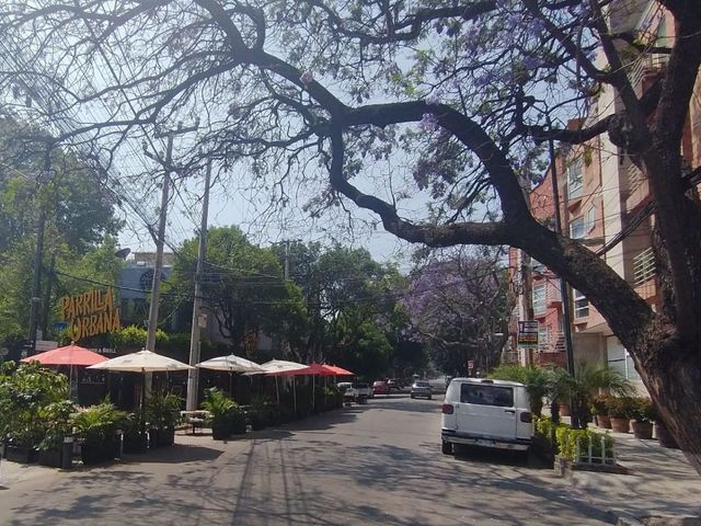 place photo 28