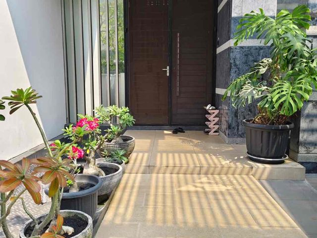 place photo 20