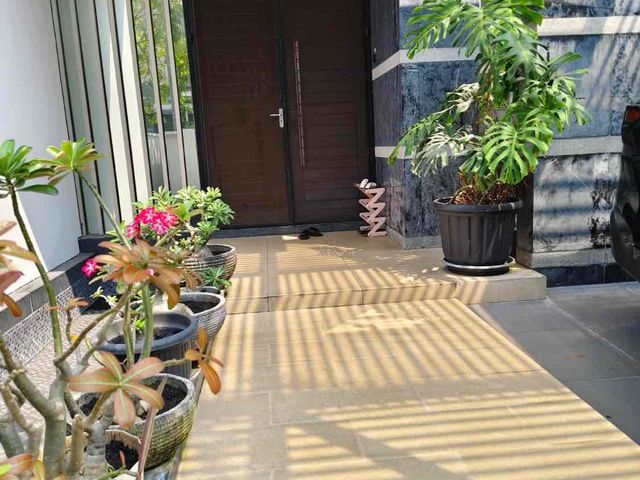place photo 49