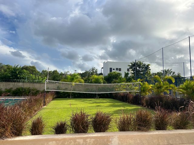 place photo 41