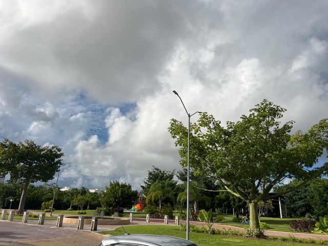 place photo 42