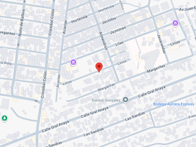 place photo 11