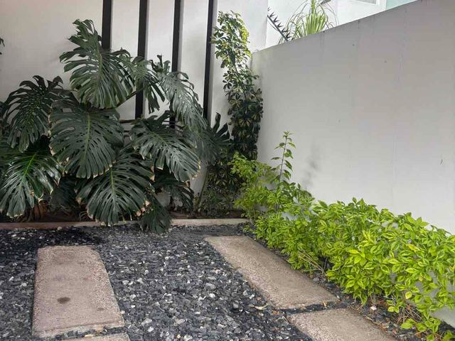 place photo 34