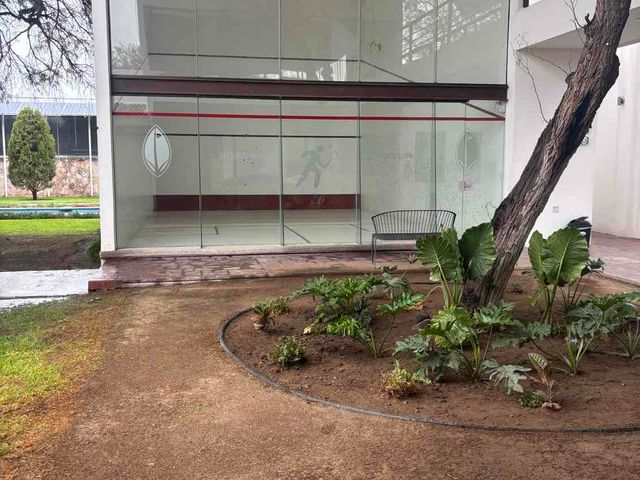 place photo 36