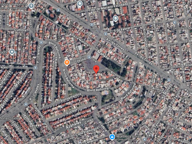 place photo 10
