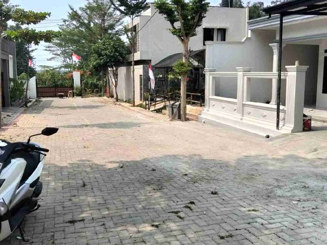 place photo 5