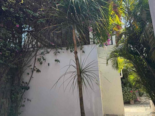 place photo 44