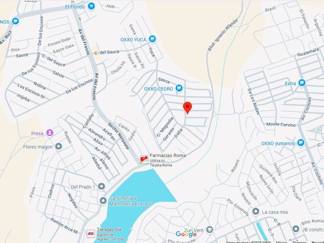 place photo 8