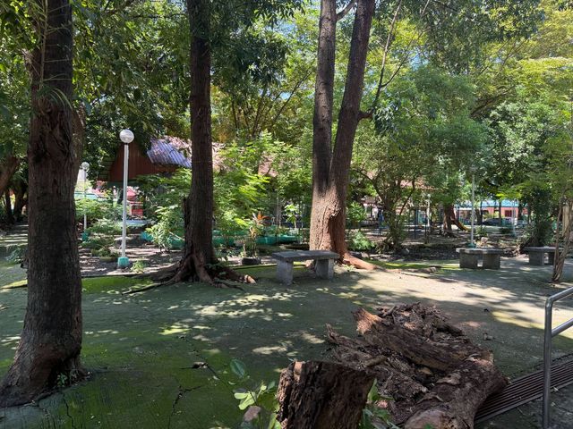 place photo 32