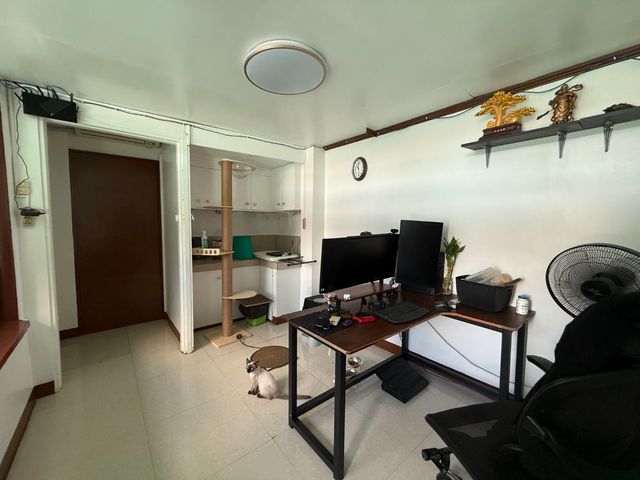 place photo 22