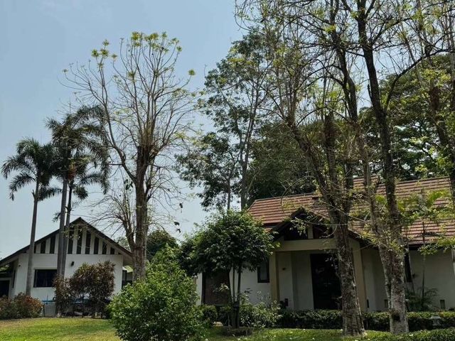 place photo 55