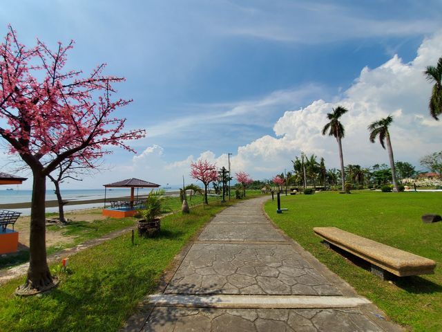 place photo 14