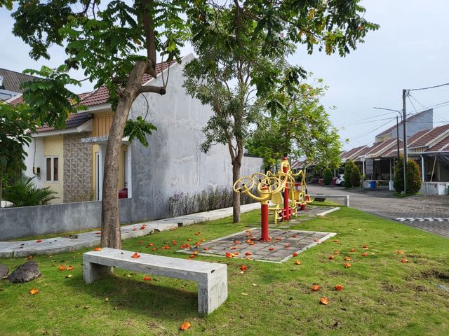 place photo 16