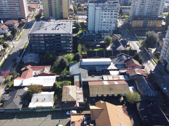 place photo 24