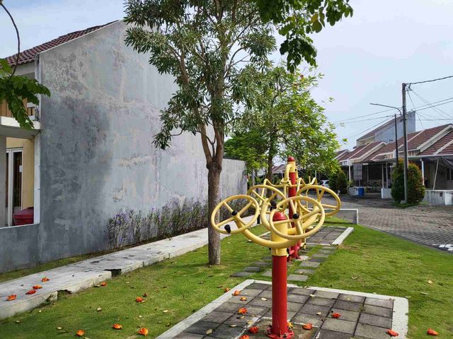 place photo 18
