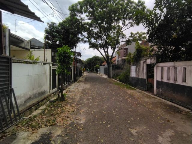 place photo 18