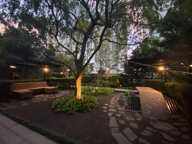place photo 39