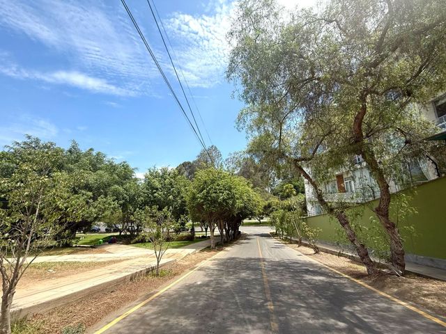 place photo 44