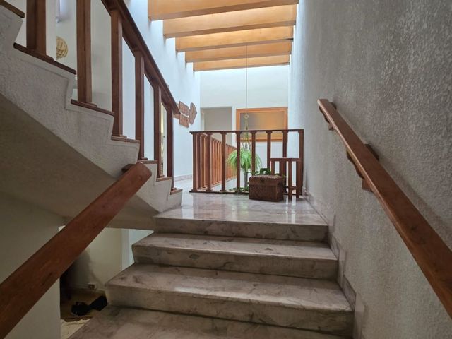 place photo 43