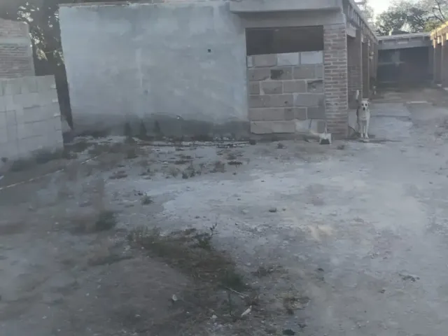 place photo 24