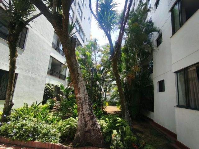 place photo 38